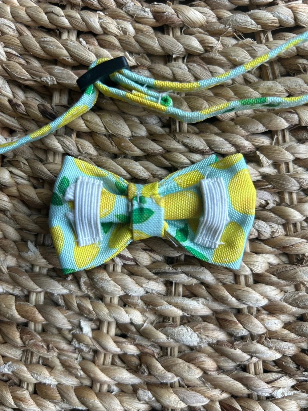 Cat Collar with bow.